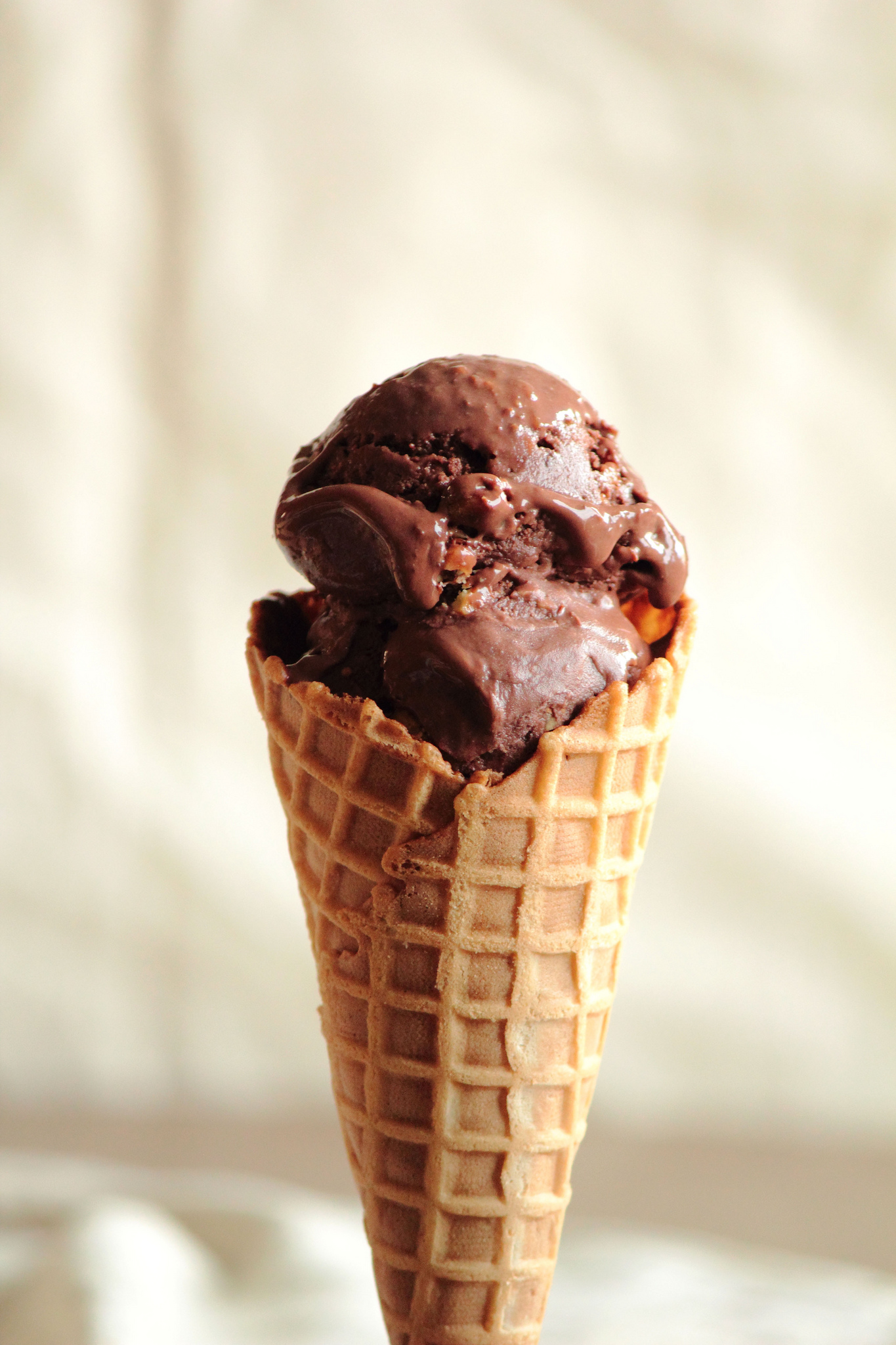 Chocolate Salted Almond Ice Cream